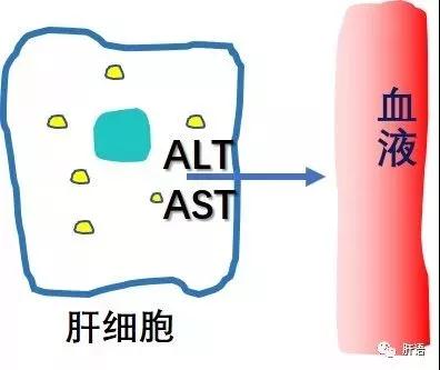 微信图片_20180321143705.jpg